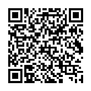 天庭以外的任何组织和个人在她眼中都是上不了台面的东西二维码生成
