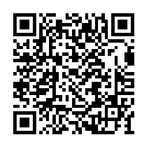 天庭其他权贵的在地下世界的实力就发展不起来二维码生成