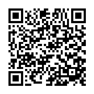 天星境初期的修为想要从耀星境巅峰的妖兽手中突破二维码生成