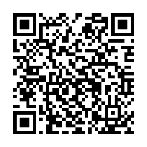 天池派……看样子很快我就会连你们的根基都给拔掉了二维码生成