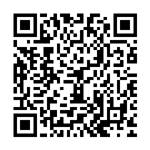 天门宗小世界积攒了万年的世界之力虽然暂时让道魂界重新稳定二维码生成