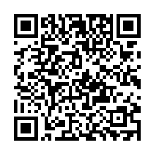天魔之主大概能够在这方世界发挥出九阶主宰的实力二维码生成