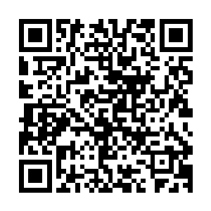 天魔莫玄是要借助这样的晶脑病毒来全面控制联邦的超级晶脑二维码生成