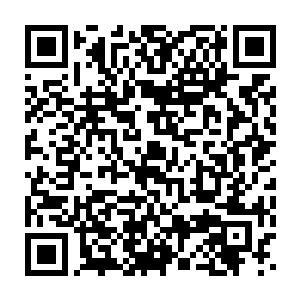 太子殿下此时应该正在皇宫中招待四海宫东宫宫主敖天和南宫宫主敖远二维码生成