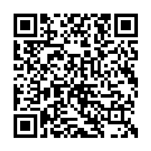 太雄此时发觉自己的风湿痛得越发是变本加厉了二维码生成