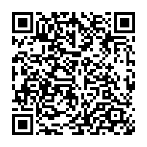 夭华岂会看不出来今时今日的容觐早已经不是当年刚出魔宫时的容觐了二维码生成