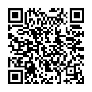 夹着体重又增加了不少的圆胖跟安齐远和苏澈挥手告别二维码生成