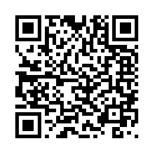 奇形怪状的山木灵根……种类繁多二维码生成