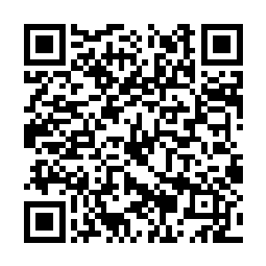 奋进精英经纪公司具备了挑战三大经纪公司的能力二维码生成