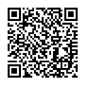 奢侈品品牌的拥有者素来跟上层社会有着良好的关系二维码生成