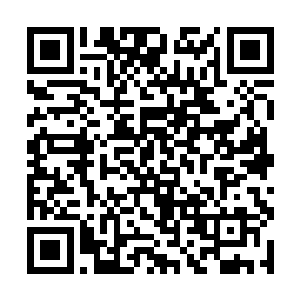 奥创帝国和维尔特联邦的版图已经扩张到了一个极限二维码生成