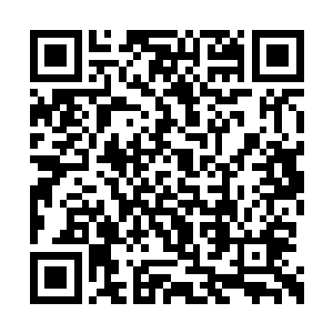 奥斯顿拉着张东城不停地与欧洲各大电影人见面二维码生成