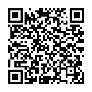 女孩赶紧喜滋滋地跟着其他人一起往采摘葡萄的地方去了二维码生成