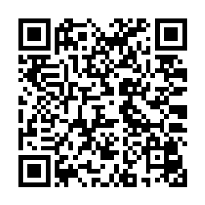 奴婢在大公子那边看见王公子穿着天蓝色织锦缎的长袍二维码生成