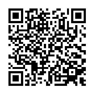 奴婢觉得……是大姑娘……比去年冬天……长个儿了二维码生成