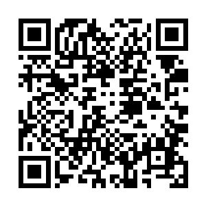 她一把将要起身去找陆通判算由帐的夫人又给压了回来二维码生成