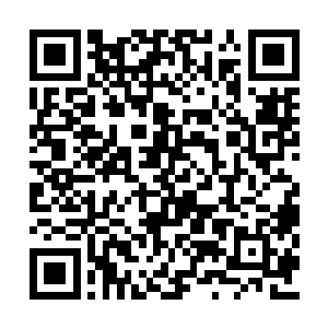 她一直能感受到身后顾彦西的目光在注视着自己二维码生成