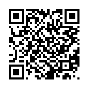 她上辈子活了二十多年都没去看过花灯二维码生成