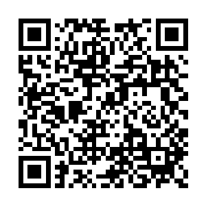 她为了能成功堵到人已经花了不少心思和钱财了二维码生成