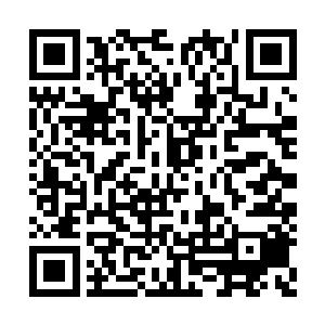 她也几乎是内定的未来李谦工作室的日常管理人二维码生成