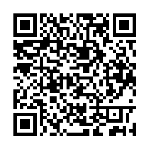 她也觉得苗毅如果真的把四城区全部逐一宴请下去二维码生成