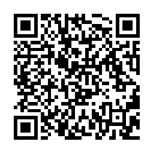 她今天的主要目的还是要先去找到葛嬷嬷所说的东西二维码生成