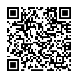 她从来没有哪一次像今天这样痛恨x市这样堵塞的交通二维码生成