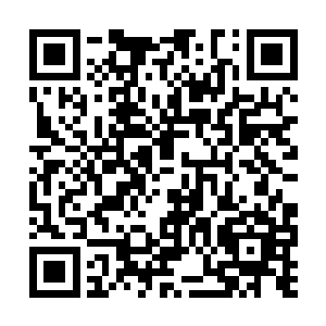 她们只知道酒吧里面的一种酒的名称就是血腥玛丽二维码生成