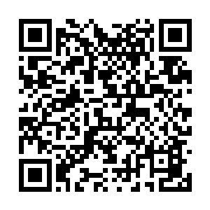 她们在万金阁是只需要每天晚上七点钟到就可以了二维码生成