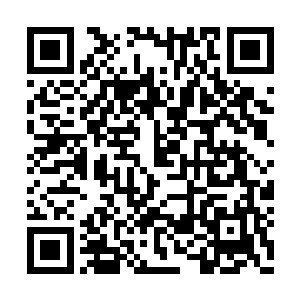 她似乎看到了刚刚那个少年弯腰挑拣饰品的样子二维码生成