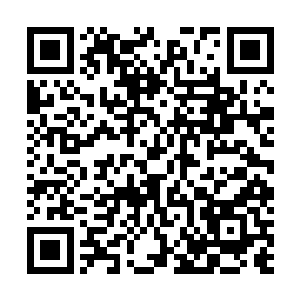 她便如冥界的冥王――这就是魂修的可怕而被追杀之处吗二维码生成