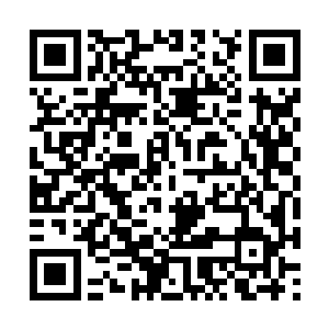 她原本以为天性善良软弱的欧子楠会答应原谅自己二维码生成