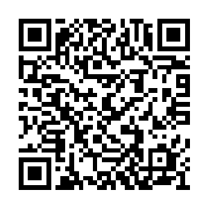 她原本已经习惯钟家三老爷院子里上下人的冷脸二维码生成