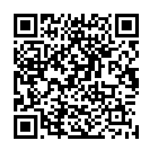 她反正是不能理解这种花这么多钱就为了打一套头面的行为二维码生成