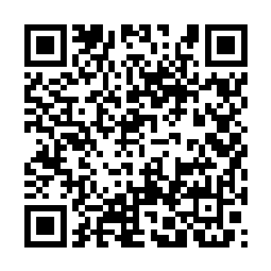 她发现日月蹄血麒麟兽已经将她带到龙凤族门口了二维码生成