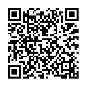她只不过是身体属性值并不是表象看起来那么孱弱二维码生成