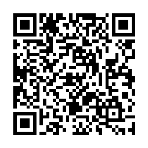 她只是凭借自己的直觉和本能觉得这一切有些不妥而已二维码生成