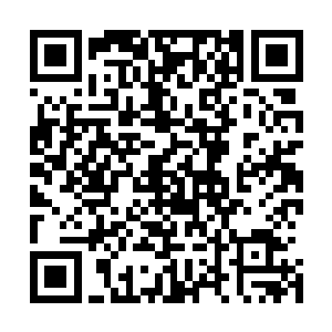 她只是希望松康能尽快的掌握二十一世纪最基本的医疗技能二维码生成
