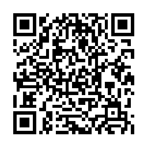 她听说村里有好几个妇女就是在玉米地里干活时二维码生成