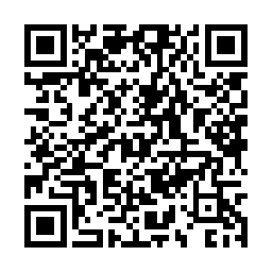 她在黑暗中又出了一身黏腻的冷汗――电话线能断二维码生成