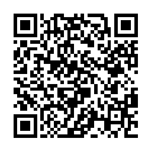 她宁愿回到这里做舞女也不愿好好跟我们生活在一起二维码生成