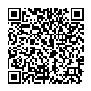 她宁愿扛着大刀去砍人也不愿在晋王威慑力十足的强势下给他宽衣二维码生成