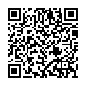 她对于桃花炼制出来的仙酿口味还是有着自信的二维码生成