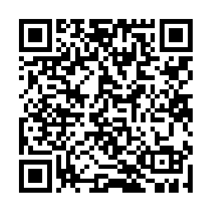 她将这场考试看做是改变上辈子悲惨命运的第一小步二维码生成