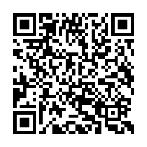 她就会和谢清湛一块跌落进这个巨大的河流之中二维码生成