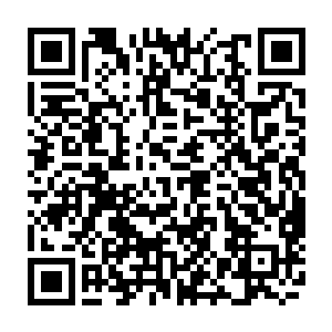 她就在元神里俯瞰着自己的神识――原本以为神识才是自己产生思考的东西二维码生成