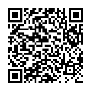 她就是这样眼眶红红的拉着他来到了这家大排档吃着东西二维码生成