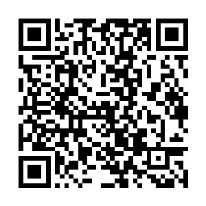 她已经是先入为主的认为自己迟早是要嫁给苗毅的二维码生成