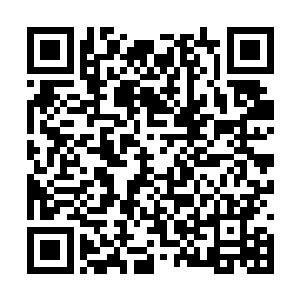 她已经通过其他渠道知道了常委会上都发生了什么二维码生成