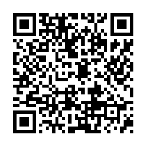 她忽然听到身后的玉米叶子发出悉悉索索的声音二维码生成